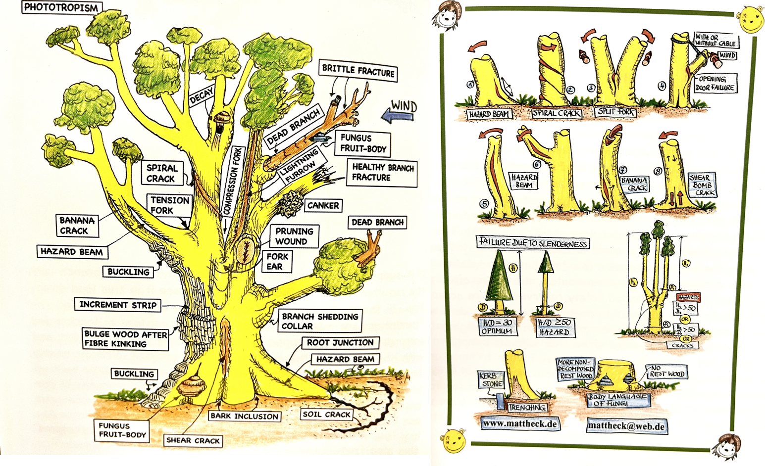 Flow: Participatory Communication & Collaboration